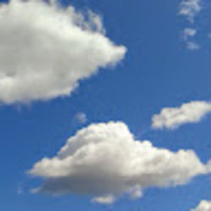 Meet your Posher, Cionna